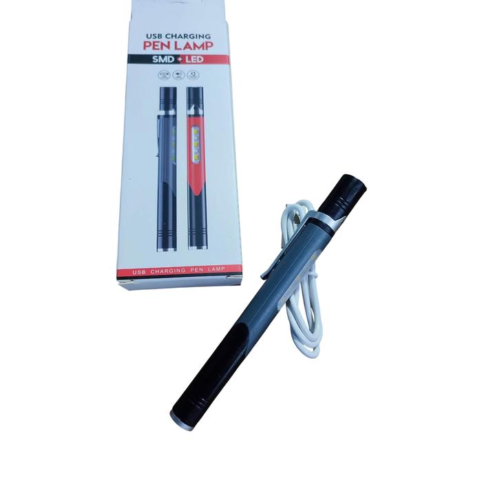 LINTERNA EN FORMA DE LAPICERA